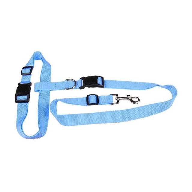 Pet Running And Walking Leash