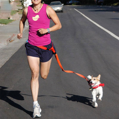 Pet Running And Walking Leash