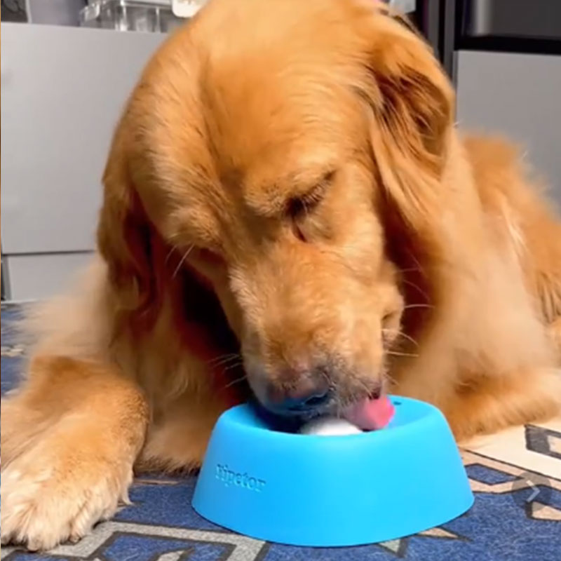 Non-Slip Bowl for Treats, Broth, Yogurt