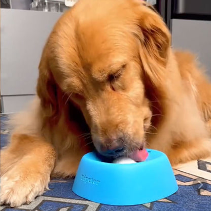 Non-Slip Bowl for Treats, Broth, Yogurt
