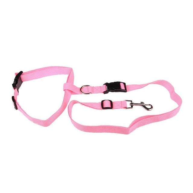 Pet Running And Walking Leash