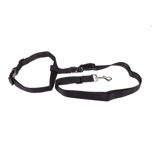 Pet Running And Walking Leash