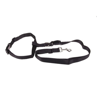 Pet Running And Walking Leash