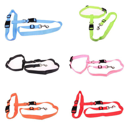 Pet Running And Walking Leash