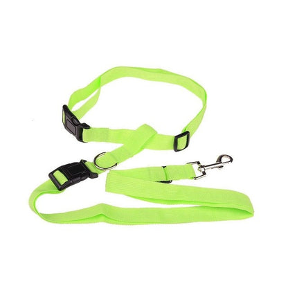 Pet Running And Walking Leash