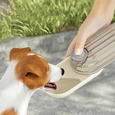 2-In-1 Pet Water And Food or Treat Cup