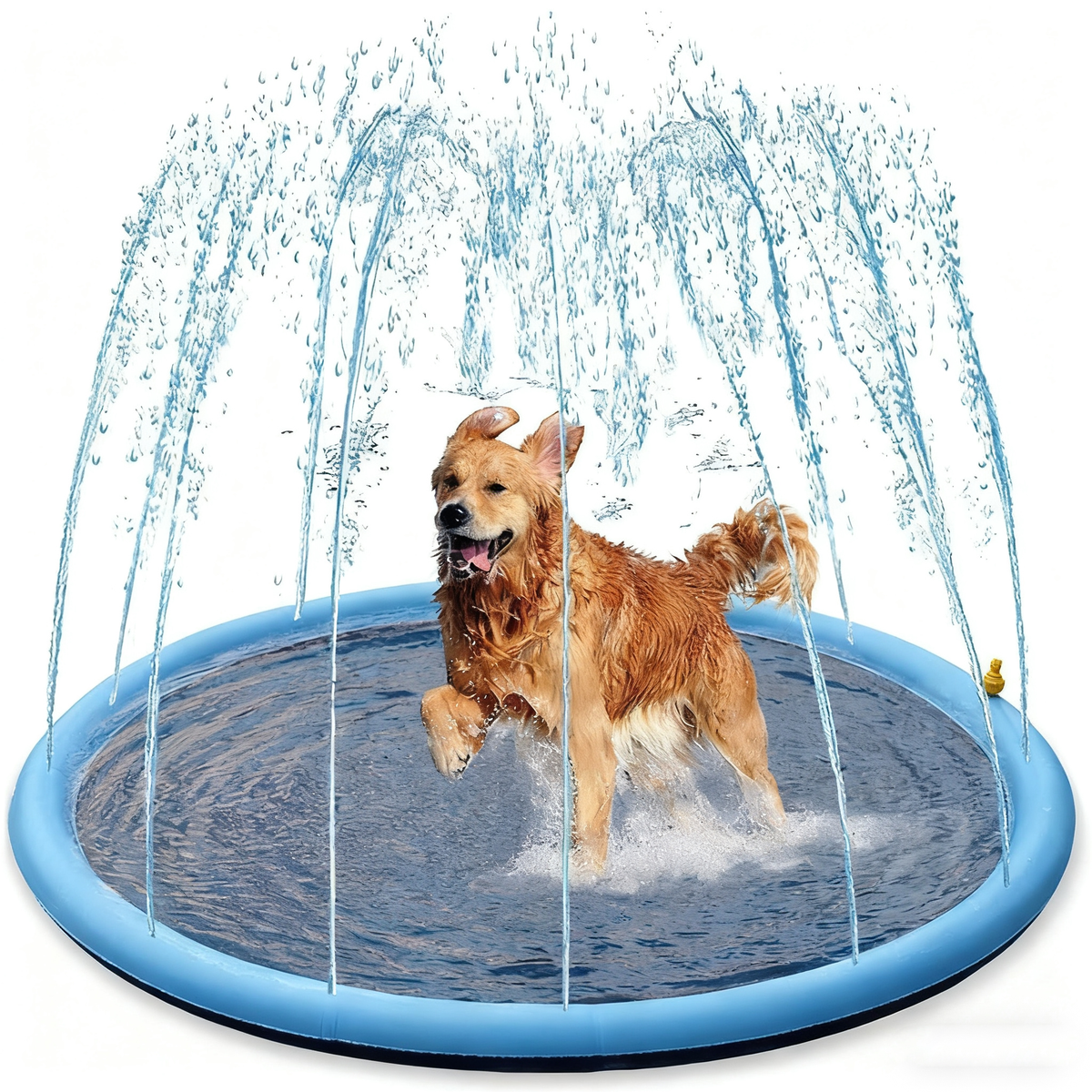 PVC thickened water spray mat for pet play