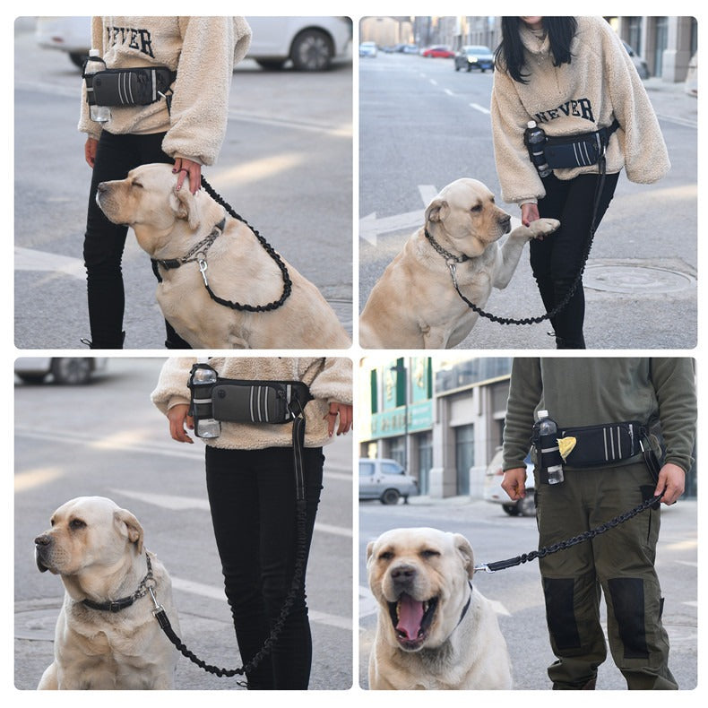 Running sports waist bag multifunctional waterproof pet waist bag outdoor anti-collision elastic dog walking waist bag