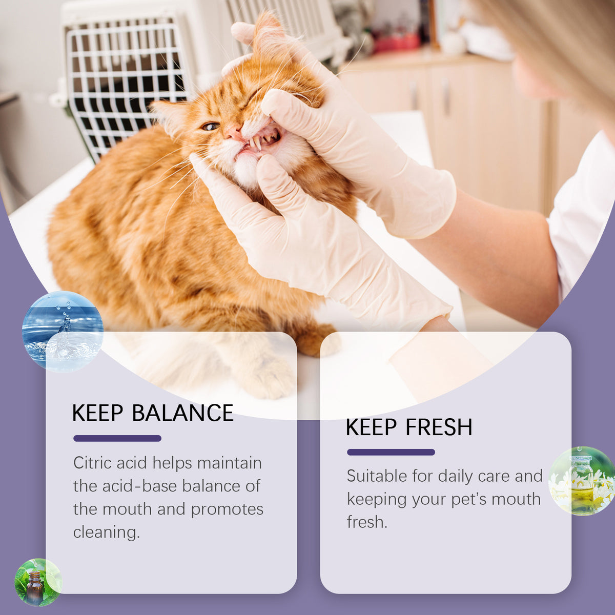 Pet Oral Repair Gel
