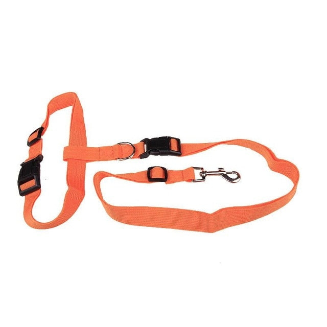 Pet Running And Walking Leash